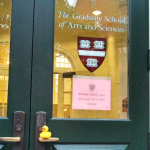 harvard duck