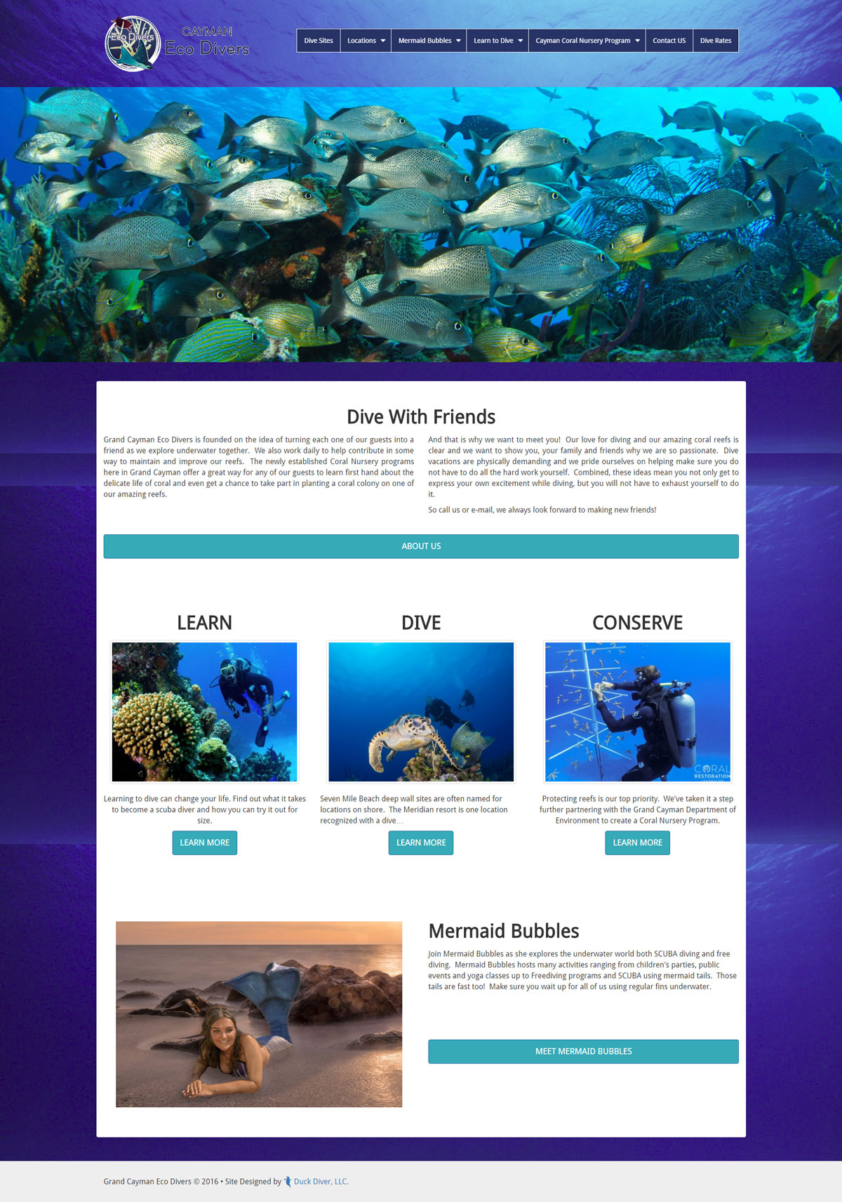 Cayman Eco Divers - Duck Diver Marketing